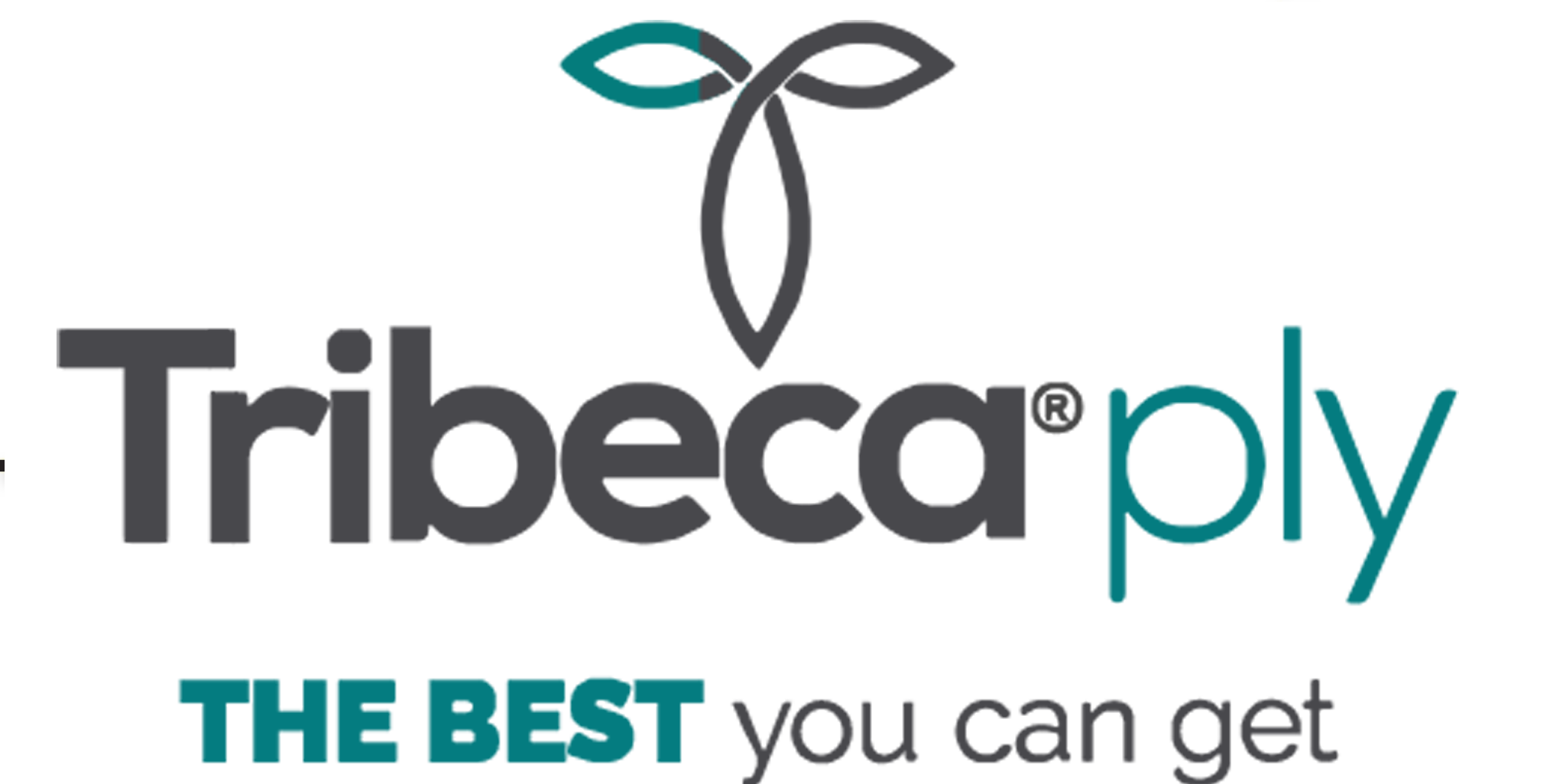 Best Plywood Manufacturers